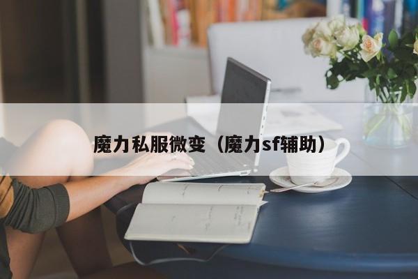 魔力私服微变（魔力sf辅助）
