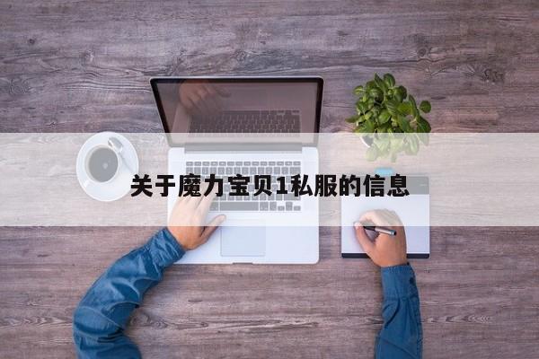 关于魔力宝贝1私服的信息