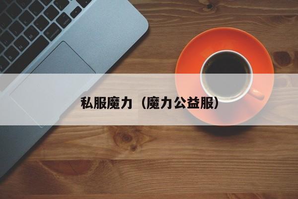 私服魔力（魔力公益服）